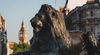 Landseer lions in Trafalgar Square with the Houses of Parliament in the distance, London