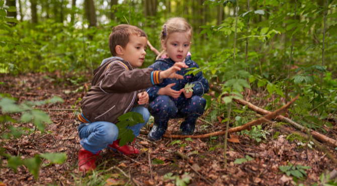 bsb-children-in-woodland