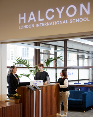 Halcyon-reception