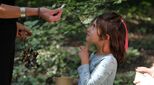 BSB-child-outdoors-teaching